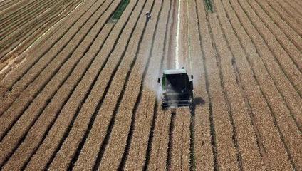 三农日报|中央财政投入100亿扶持农产品加工;数据:我国的生鲜平均损耗率在10%以上